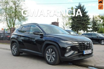 z Gwarancja Bezwypadkowy Stan Wzorcowy