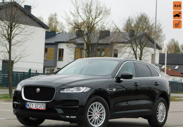 jaguar