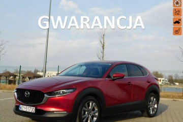 z Gwarancją Bezwypadkowa 100% Full Opcja